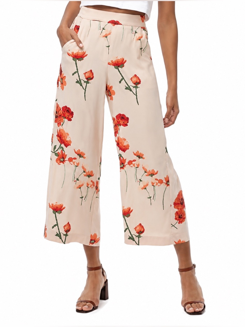 Aritzia Faun Pants